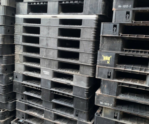 Thu mua pallet nhựa phế liệu